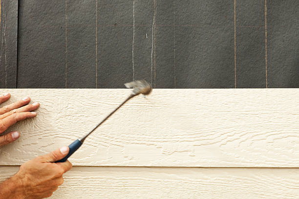 Best Fiber Cement Siding Installation  in Richton, MS
